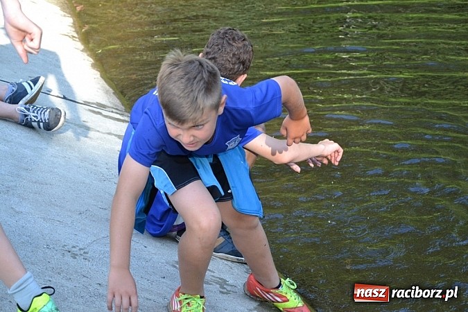 Zdjęcie w galerii na portalu naszraciborz.pl: Wspaniała zieleń i zabytki. Raciborszczyzna obala stereotypy!  wiadomości z regionu