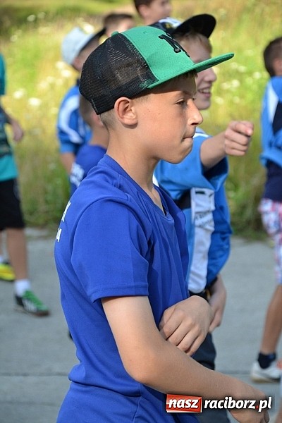 Zdjęcie w galerii na portalu naszraciborz.pl: Wspaniała zieleń i zabytki. Raciborszczyzna obala stereotypy!  wiadomości z regionu