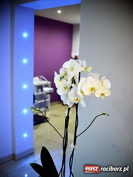 Zdjęcie w galerii na portalu naszraciborz.pl: Nowości w Akademii Piękna. Poczuj się kr&oacute;lową lata wiadomości z regionu