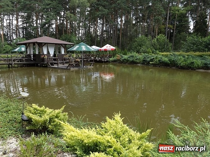 Zdjęcie w galerii na portalu naszraciborz.pl: Urlop w zasięgu ręki wiadomości z regionu