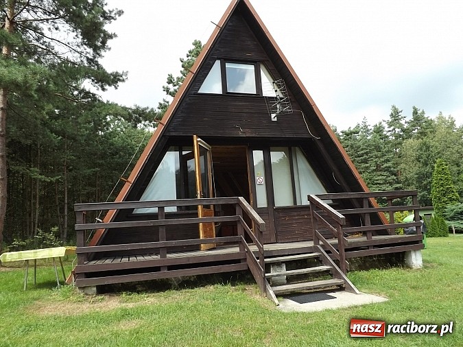 Zdjęcie w galerii na portalu naszraciborz.pl: Urlop w zasięgu ręki wiadomości z regionu