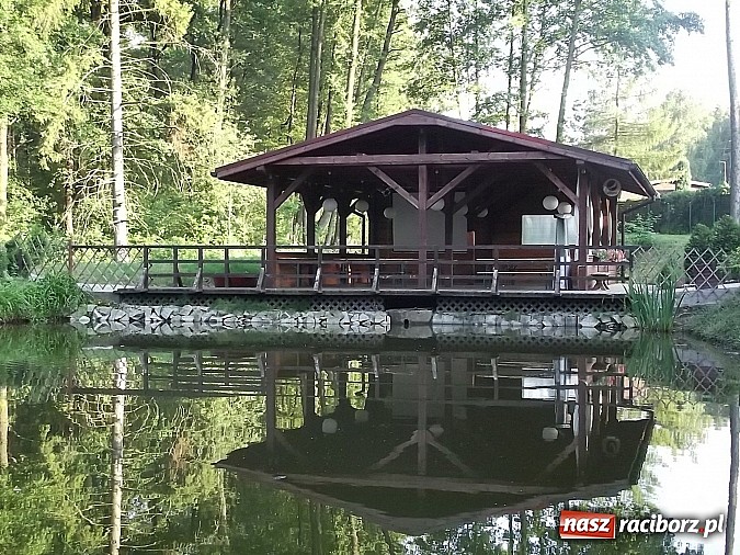 Zdjęcie w galerii na portalu naszraciborz.pl: Urlop w zasięgu ręki wiadomości z regionu