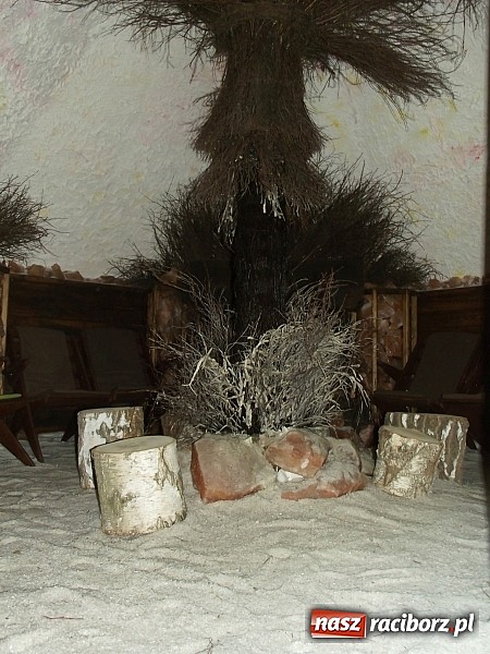 Zdjęcie w galerii na portalu naszraciborz.pl: Urlop w zasięgu ręki wiadomości z regionu