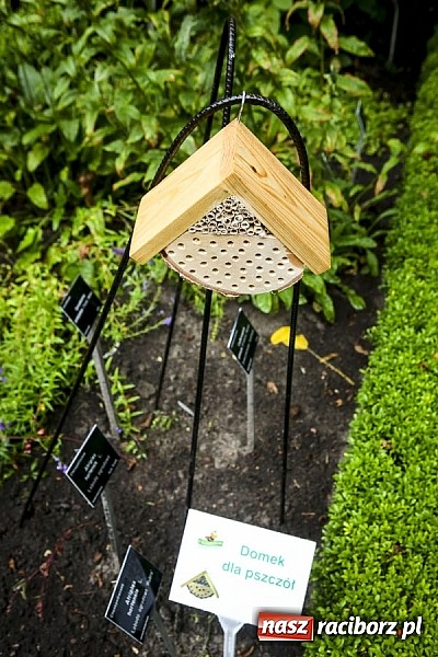 Zdjęcie w galerii na portalu naszraciborz.pl: Obchody drugiego Wielkiego Dnia Pszczół w Mikołowie wiadomości z regionu