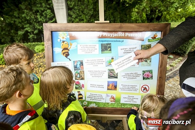 Zdjęcie w galerii na portalu naszraciborz.pl: Obchody drugiego Wielkiego Dnia Pszczół w Mikołowie wiadomości z regionu