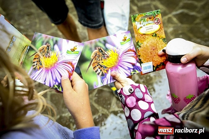 Zdjęcie w galerii na portalu naszraciborz.pl: Obchody drugiego Wielkiego Dnia Pszczół w Mikołowie wiadomości z regionu