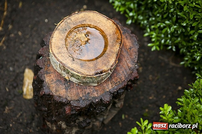 Zdjęcie w galerii na portalu naszraciborz.pl: Obchody drugiego Wielkiego Dnia Pszczół w Mikołowie wiadomości z regionu