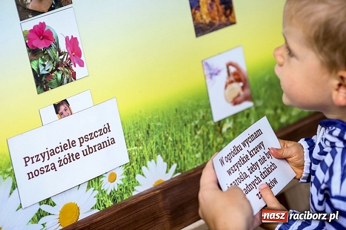 Zdjęcie w galerii na portalu naszraciborz.pl: Obchody drugiego Wielkiego Dnia Pszczół w Mikołowie wiadomości z regionu