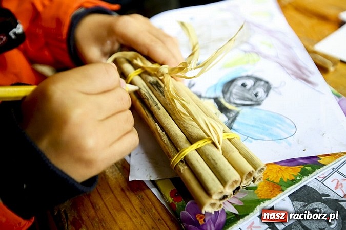 Zdjęcie w galerii na portalu naszraciborz.pl: Obchody drugiego Wielkiego Dnia Pszczół w Mikołowie wiadomości z regionu