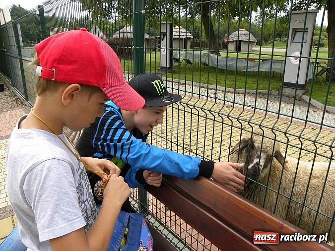 Zdjęcie w galerii na portalu naszraciborz.pl: Cały świat w jeden dzień... wiadomości z regionu