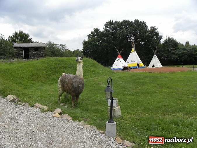 Zdjęcie w galerii na portalu naszraciborz.pl: Cały świat w jeden dzień... wiadomości z regionu
