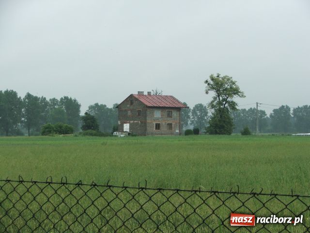 Zdjęcie w galerii na portalu naszraciborz.pl: Straszny dom na skraju Ciechowic wiadomości z regionu