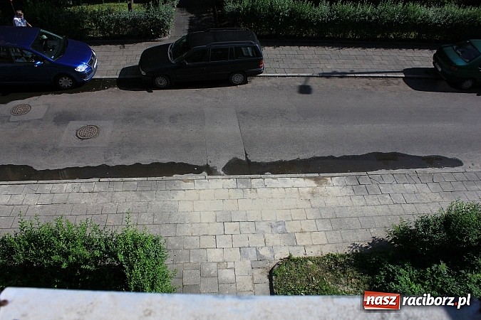 Zdjęcie w galerii na portalu naszraciborz.pl: Lipa na Waryńskiego, czyli problem z drzewami przy kamienicy wiadomości z regionu