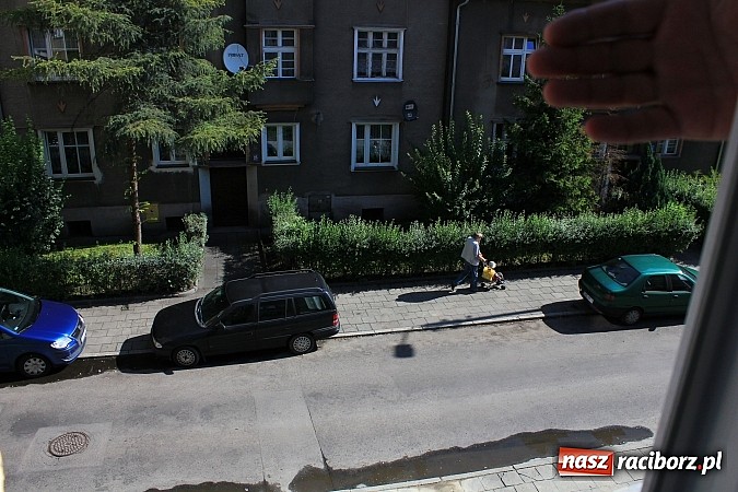 Zdjęcie w galerii na portalu naszraciborz.pl: Lipa na Waryńskiego, czyli problem z drzewami przy kamienicy wiadomości z regionu