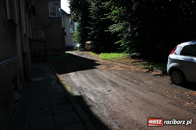 Zdjęcie w galerii na portalu naszraciborz.pl: Lipa na Waryńskiego, czyli problem z drzewami przy kamienicy wiadomości z regionu