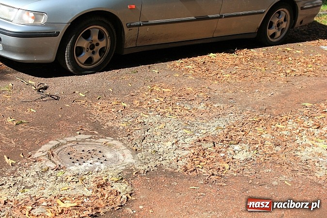 Zdjęcie w galerii na portalu naszraciborz.pl: Lipa na Waryńskiego, czyli problem z drzewami przy kamienicy wiadomości z regionu