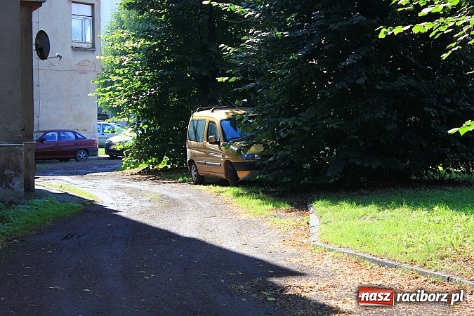 Zdjęcie w galerii na portalu naszraciborz.pl: Lipa na Waryńskiego, czyli problem z drzewami przy kamienicy wiadomości z regionu