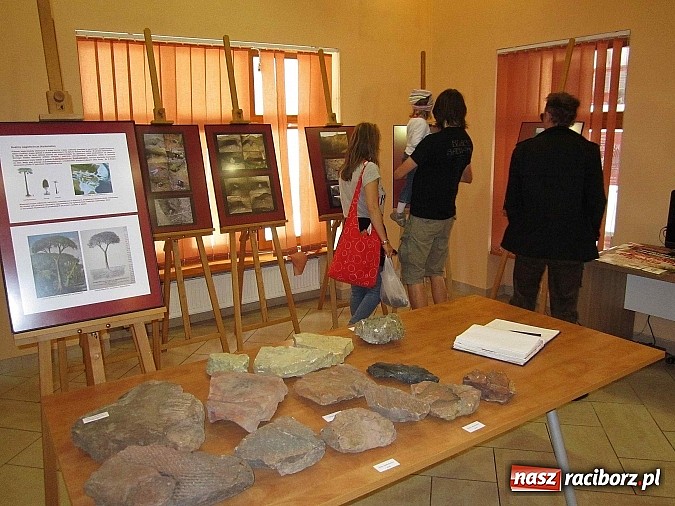 Zdjęcie w galerii na portalu naszraciborz.pl: Zakazane Rewiry, czyli wystawa Grzegorza Piniora wiadomości z regionu