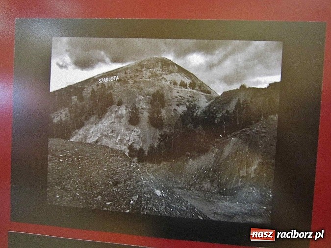 Zdjęcie w galerii na portalu naszraciborz.pl: Zakazane Rewiry, czyli wystawa Grzegorza Piniora wiadomości z regionu