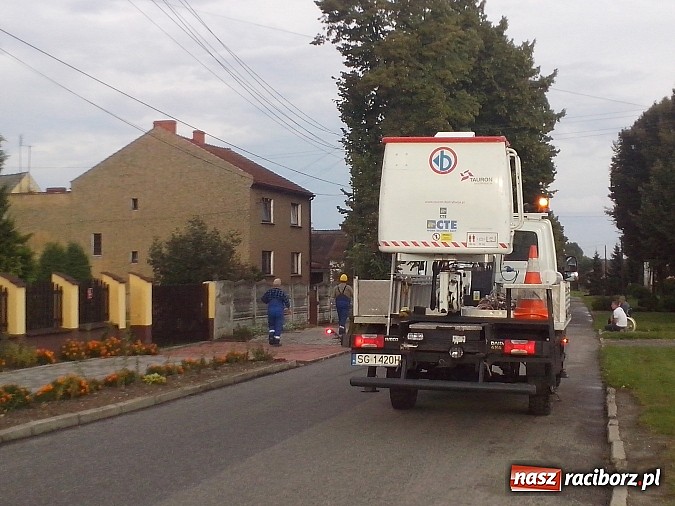 Zdjęcie w galerii na portalu naszraciborz.pl: Powalone drzewo uszkodziło samochód! wiadomości z regionu