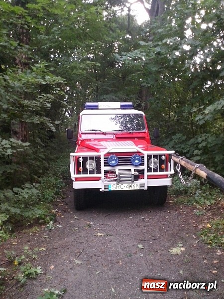 Zdjęcie w galerii na portalu naszraciborz.pl: Powalone drzewo uszkodziło samochód! wiadomości z regionu