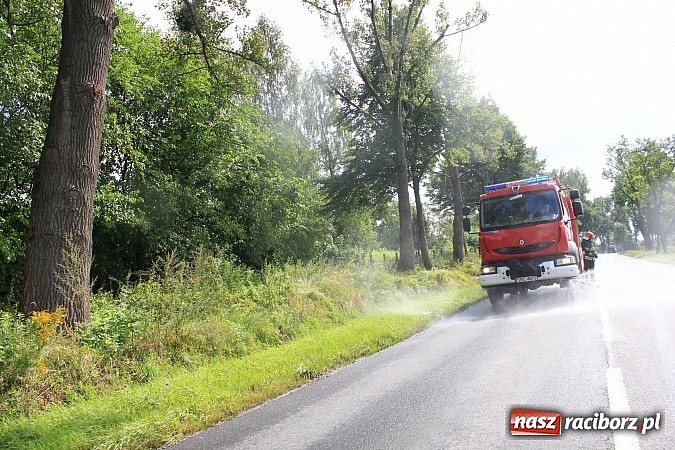 Zdjęcie w galerii na portalu naszraciborz.pl: Trzy zastępy strażaków usuwały plamę na Brzeskiej wiadomości z regionu