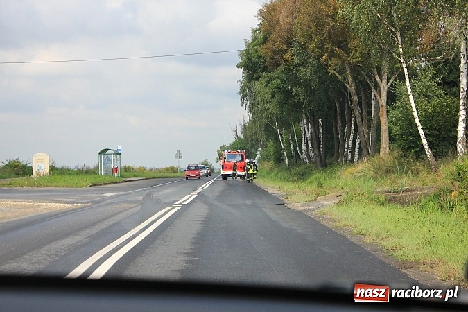 Zdjęcie w galerii na portalu naszraciborz.pl: Trzy zastępy strażaków usuwały plamę na Brzeskiej wiadomości z regionu