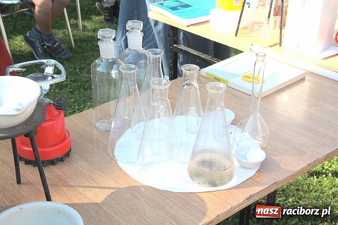 Zdjęcie w galerii na portalu naszraciborz.pl: Zamkowe Zuchy na spotkaniu z alchemią wiadomości z regionu