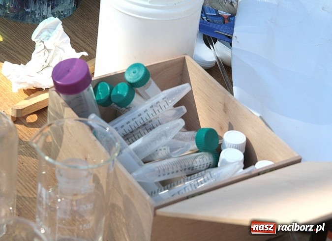 Zdjęcie w galerii na portalu naszraciborz.pl: Zamkowe Zuchy na spotkaniu z alchemią wiadomości z regionu