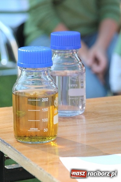 Zdjęcie w galerii na portalu naszraciborz.pl: Zamkowe Zuchy na spotkaniu z alchemią wiadomości z regionu