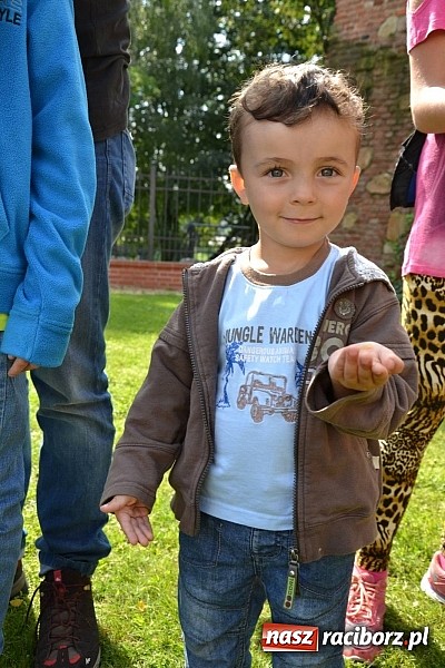 Zdjęcie w galerii na portalu naszraciborz.pl: Zamkowe Zuchy na spotkaniu z alchemią wiadomości z regionu