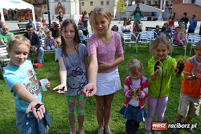 Zdjęcie w galerii na portalu naszraciborz.pl: Zamkowe Zuchy na spotkaniu z alchemią wiadomości z regionu