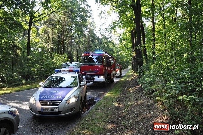 Zdjęcie w galerii na portalu naszraciborz.pl: Tico uderzyło w drzewo na trasie Nędza-Kuźnia Raciborska wiadomości z regionu