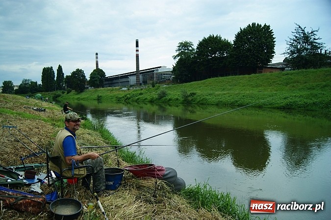 Zdjęcie w galerii na portalu naszraciborz.pl: I Memoriałowe Zawody Wędkarskie Odra 2014 wiadomości z regionu