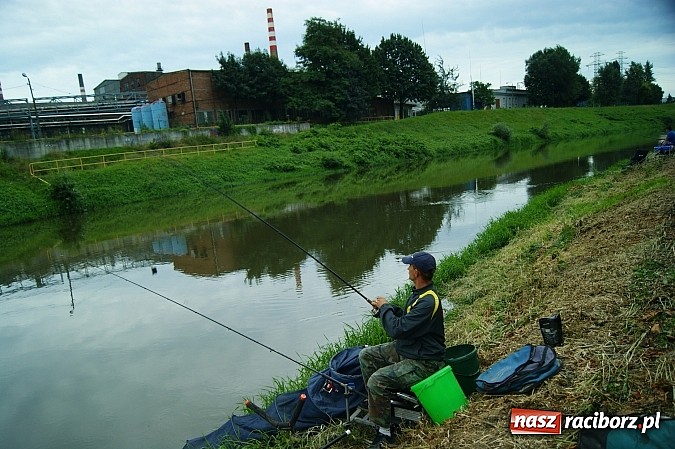 Zdjęcie w galerii na portalu naszraciborz.pl: I Memoriałowe Zawody Wędkarskie Odra 2014 wiadomości z regionu
