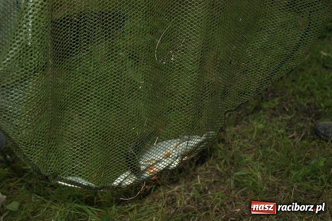 Zdjęcie w galerii na portalu naszraciborz.pl: I Memoriałowe Zawody Wędkarskie Odra 2014 wiadomości z regionu