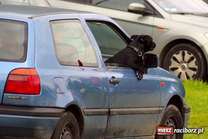 Zdjęcie w galerii na portalu naszraciborz.pl: Nerwowa kanonada w Rudniku. Derby gminy dla Zrywu wiadomości z regionu