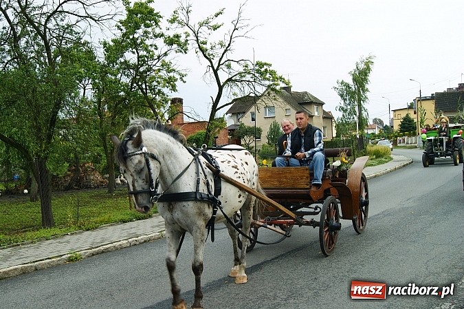 Zdjęcie w galerii na portalu naszraciborz.pl: Dożynki 2014 - Krowiarki i Amandów wiadomości z regionu