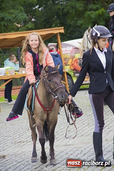 Zdjęcie w galerii na portalu naszraciborz.pl: Łatwo nie było, ale dali rady. Przemarsz Sobieskiego z Rud do Raciborza wiadomości z regionu