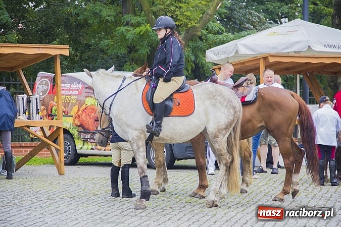 Zdjęcie w galerii na portalu naszraciborz.pl: Łatwo nie było, ale dali rady. Przemarsz Sobieskiego z Rud do Raciborza wiadomości z regionu
