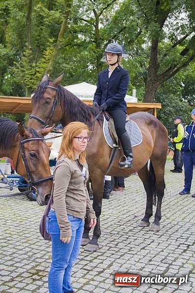 Zdjęcie w galerii na portalu naszraciborz.pl: Łatwo nie było, ale dali rady. Przemarsz Sobieskiego z Rud do Raciborza wiadomości z regionu