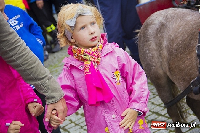 Zdjęcie w galerii na portalu naszraciborz.pl: Łatwo nie było, ale dali rady. Przemarsz Sobieskiego z Rud do Raciborza wiadomości z regionu