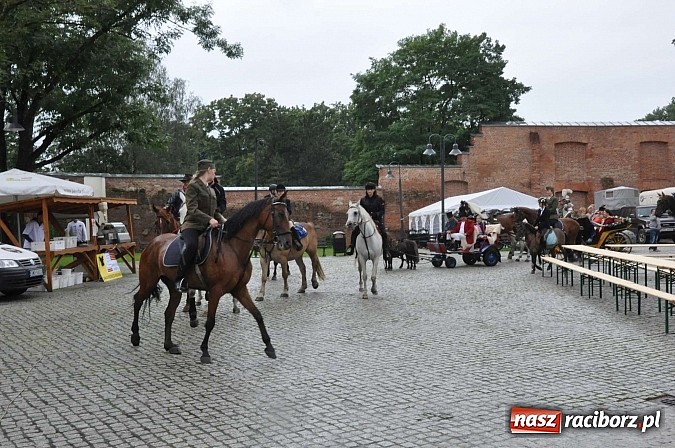 Zdjęcie w galerii na portalu naszraciborz.pl: Łatwo nie było, ale dali rady. Przemarsz Sobieskiego z Rud do Raciborza wiadomości z regionu