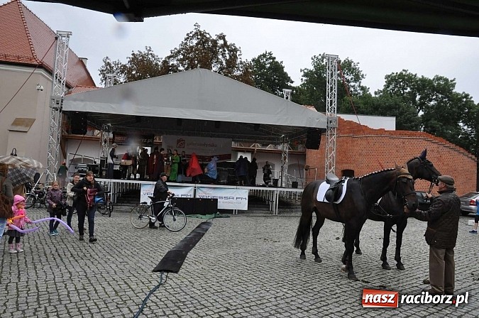 Zdjęcie w galerii na portalu naszraciborz.pl: Łatwo nie było, ale dali rady. Przemarsz Sobieskiego z Rud do Raciborza wiadomości z regionu