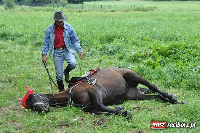 Zdjęcie w galerii na portalu naszraciborz.pl: Łatwo nie było, ale dali rady. Przemarsz Sobieskiego z Rud do Raciborza wiadomości z regionu
