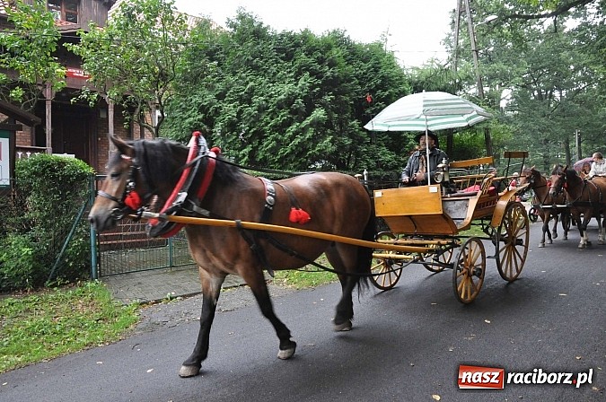 Zdjęcie w galerii na portalu naszraciborz.pl: Łatwo nie było, ale dali rady. Przemarsz Sobieskiego z Rud do Raciborza wiadomości z regionu