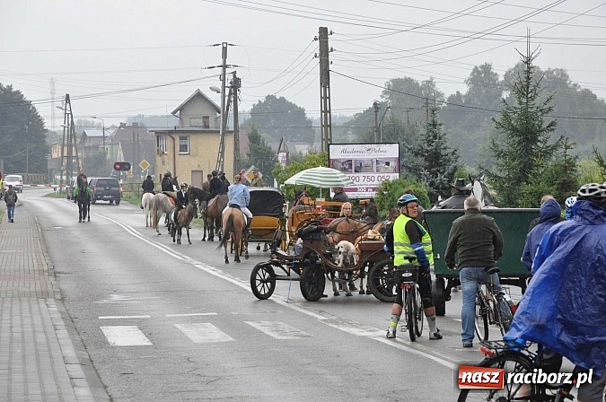 Zdjęcie w galerii na portalu naszraciborz.pl: Łatwo nie było, ale dali rady. Przemarsz Sobieskiego z Rud do Raciborza wiadomości z regionu