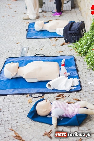 Zdjęcie w galerii na portalu naszraciborz.pl: Rodzinny piknik na raciborskim zamku wiadomości z regionu