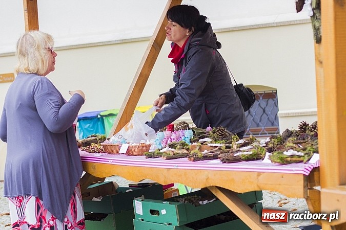 Zdjęcie w galerii na portalu naszraciborz.pl: Rodzinny piknik na raciborskim zamku wiadomości z regionu