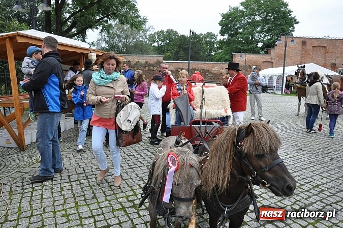 Zdjęcie w galerii na portalu naszraciborz.pl: Rodzinny piknik na raciborskim zamku wiadomości z regionu
